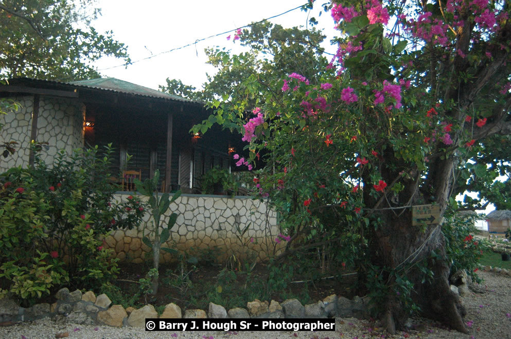 Catcha Fallen Star Resort Rises from the Destruction of Hurricane Ivan, West End, Negril, Westmoreland, Jamaica W.I. - Photographs by Net2Market.com - Barry J. Hough Sr. Photojournalist/Photograper - Photographs taken with a Nikon D70, D100, or D300 -  Negril Travel Guide, Negril Jamaica WI - http://www.negriltravelguide.com - info@negriltravelguide.com...!