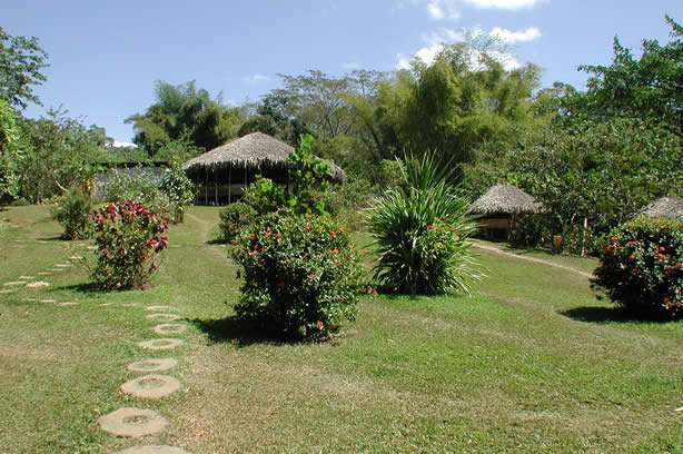 Riverwalk at   Mayfield Falls - Negril, Jamaica W.I. - Saturday, December 8, 2001 - Negril Travel Guide