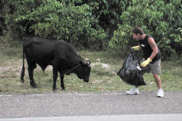 Volunteers Clean-Up Roadside Entrance to Negril - Negril Travel Guide