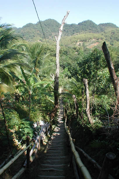 Riverwalk at   Mayfield Falls - Negril, Jamaica W.I. - Saturday, December 8, 2001 - Negril Travel Guide